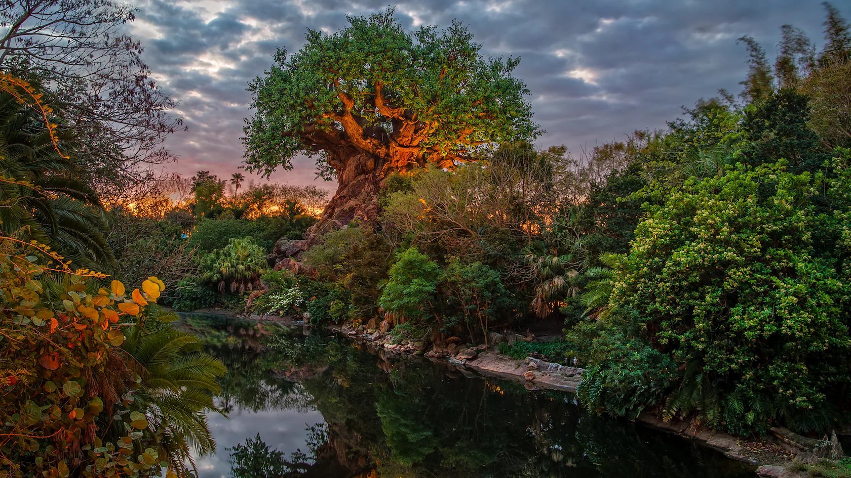 Ranking Table Service Restaurants in Disney’s Animal Kingdom