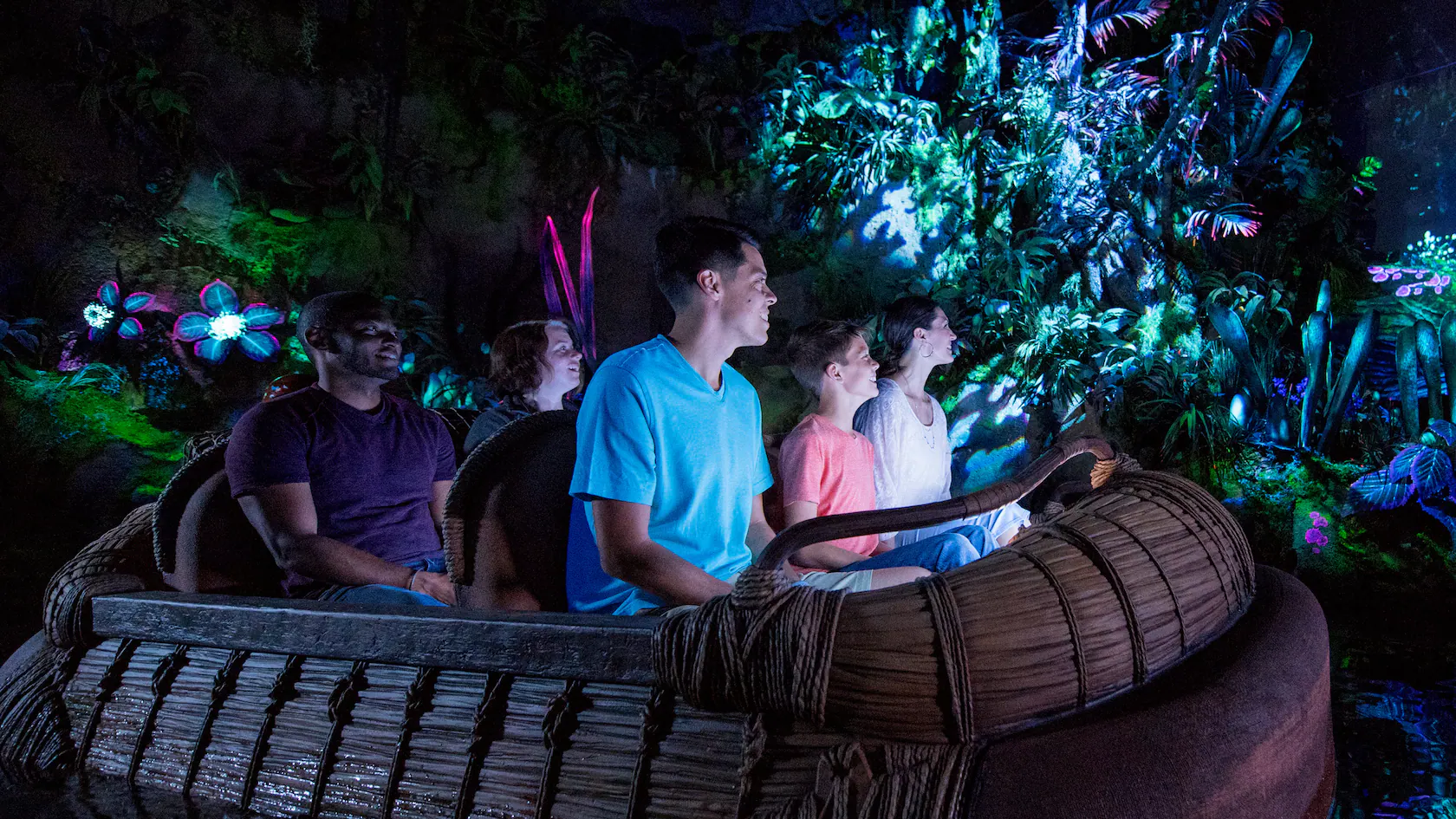 A Rainy Day in Disney’s Animal Kingdom